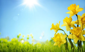 Frühling Frühling