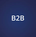 B2B B2B