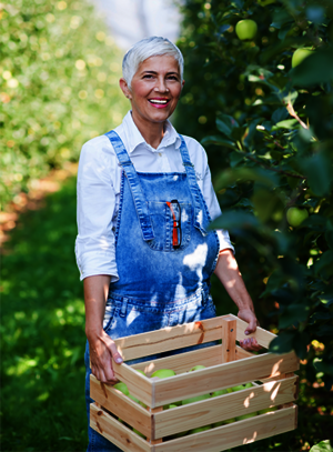 Praxisbeispiel Chargennummernverwaltung_orgaMAX_Apfelplantage_Fruchtsaft