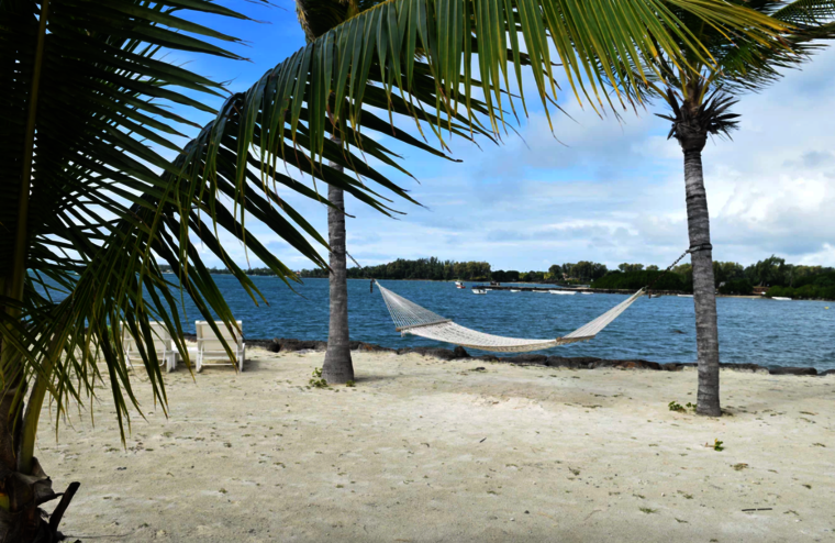 Urlaub Palmen Strand Urlaub Palmen Strand
