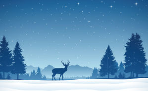 Newsletter Dezember 2015 Newsletter Dezember 2015