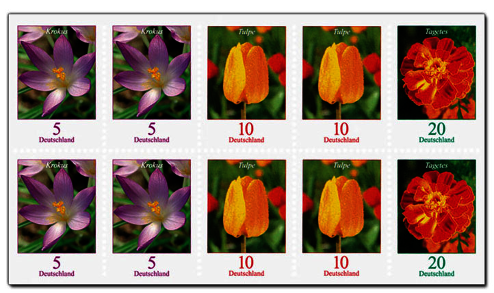 Zusammendruck Blumen Zusammendruck Blumen
