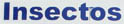 Insectos GmbH & Co. KG