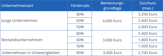 Übersicht: förderfähige Beratungskosten | orgaMAX Bürosoftware